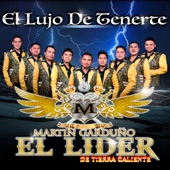 El Lujo de Tenerte artwork