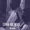 Luna de Miel - Single