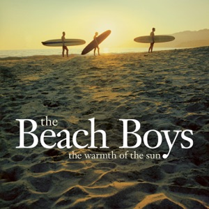 The Beach Boys - California Dreamin' - 排舞 音樂