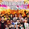 Arrocha Total (Vol. 01), 2019