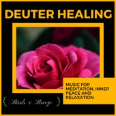 Deuter Healing - Music For Meditation, Inner Peace and Relaxation artwork