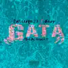 Gata (feat. Nogy) - Single album lyrics, reviews, download