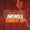 Turn It Up (Single) album lyrics, reviews, download