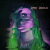 Assassin (Hippie Sabotage Remix) - Single