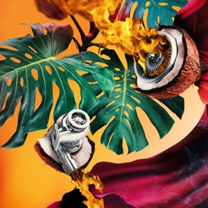 Turbococco - Single