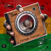 Picture Perfect (feat. Jada Kingdom) artwork