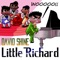 Little Richard - David Shine lyrics