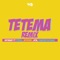 Tetema (feat. Pitbull, Mohombi, Jeon & Diamond Platnumz) [Remix] - Single