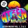 Atzen Musik Vol.1, 2 & 3