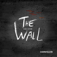 The Wall - Alok & Sevenn