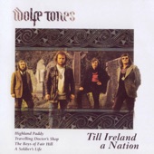 The Wolfe Tones - Highland Paddy