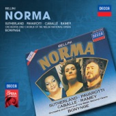 Bellini: Norma artwork