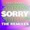 Sorry (Colour Castle Remix) - Joel Corry lyrics