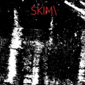 Skim\ artwork