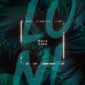 Mala Vida (feat. NeiNei) artwork