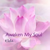 Awaken My Soul