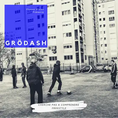 Cherche pas à comprendre (Freestyle) - Single - Grodash