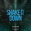 Stream & download Shake It Down - Single