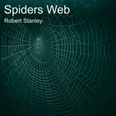 Spiders Web artwork