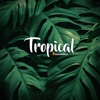 OrangeHead - Tropical