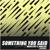 Something You Said (Club Mix) artwork
