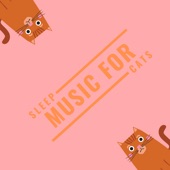 Sleep Music for Cats artwork