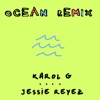 Ocean (Remix) - Single, 2019