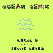 Ocean (Remix) artwork
