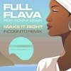 Make It Right (feat. Donna Odain) [Incognito Remix] - Single