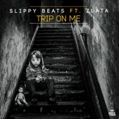Trip On Me (Extended Mix) [feat. Zlata] artwork