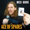 Ace of Spades (feat. ShaunTrack) - Single