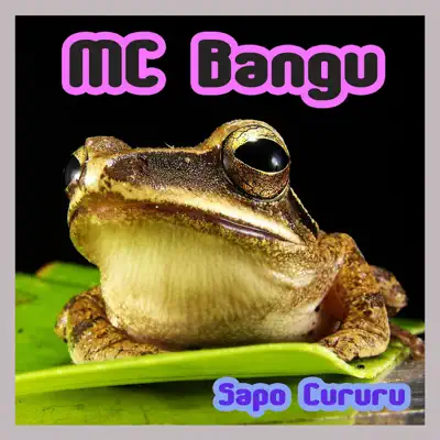 Sapo Cururu - Single - MC Bangu