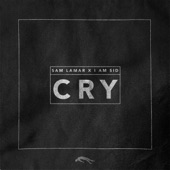 Cry (feat. I am Sid) artwork