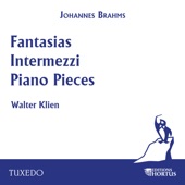 Brahms: Fantasias, Intermezzi, Piano Pieces artwork