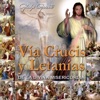 Vía Crucis Y Letanías De La Divina Misericordia