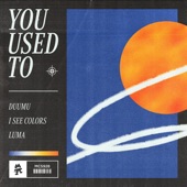 You Used To (feat. Luma) artwork
