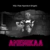 Stream & download Amenikaa (feat. Nyanda & Singah) - Single