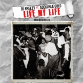 Live My Life (feat. Adekunle Gold) artwork