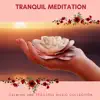 Stream & download Tranquil Meditation