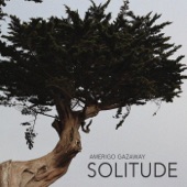 Solitude artwork