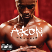 Bananza (Belly Dancer) - Akon Cover Art
