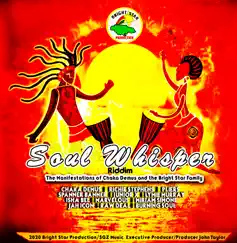 Soul Whisper Riddim by Various Artists album reviews, ratings, credits