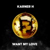 Want My Love - Single