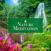 Nature Meditation artwork