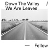 Fellow - EP