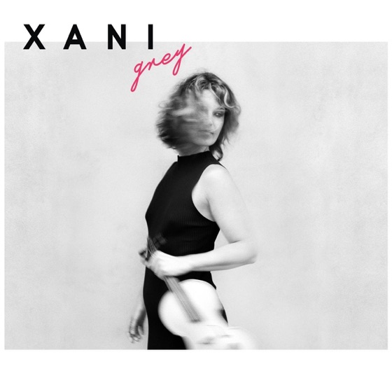 Cover artwork for Grey