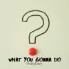 What You Gonna Do - Single album lyrics, reviews, download