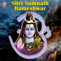 Various Artists - Shri Somnath Rameshwar artwork