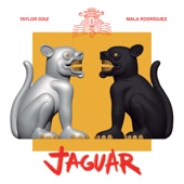 Jaguar artwork