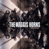 The Haggis Horns - Don't Give a Damn feat. John McCallum